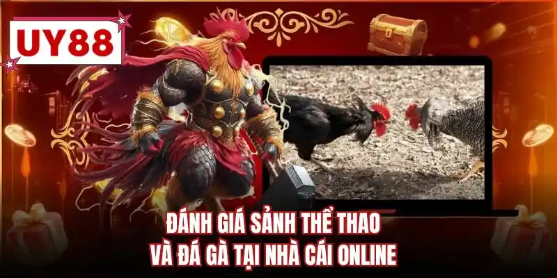 Đánh giá sảnh thể thao và đá gà tại nhà cái online