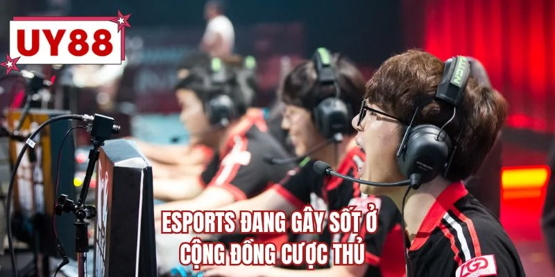 Esports đang gây sốt ở cộng đồng cược thủ